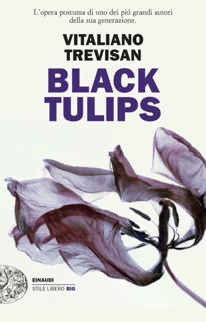 Black-tulips-copertina