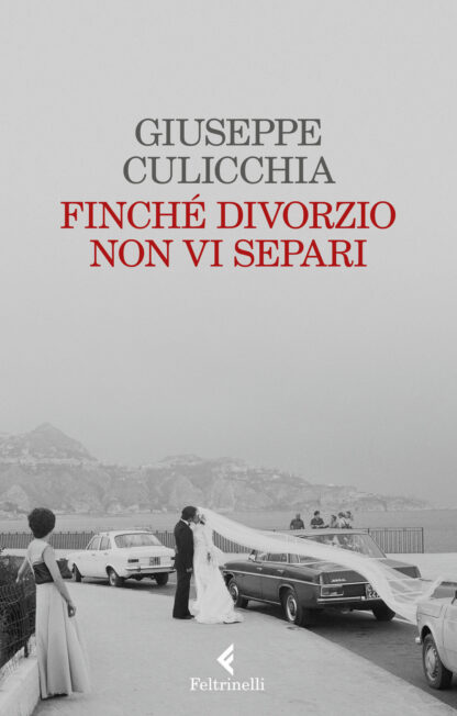 Finché-divorzio-non-vi-separi-copertina