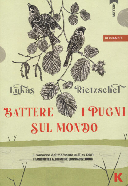 Battere-i-pugni-sul-mondo-copertina