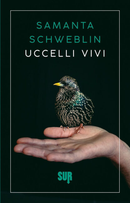 uccelli-vivi-copertina