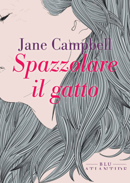 Spazzolare-il-gatto-copertina