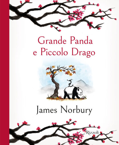 Grande-panda-e-piccolo-drago-copertina