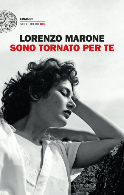 sono-tornato-per-te-copertina