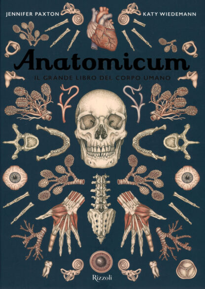 anatomicum