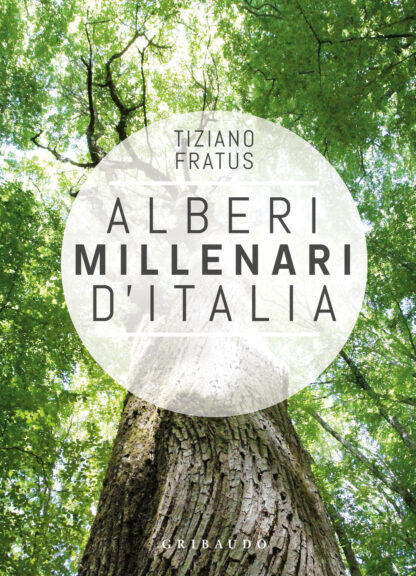 alberi millenari d'italia